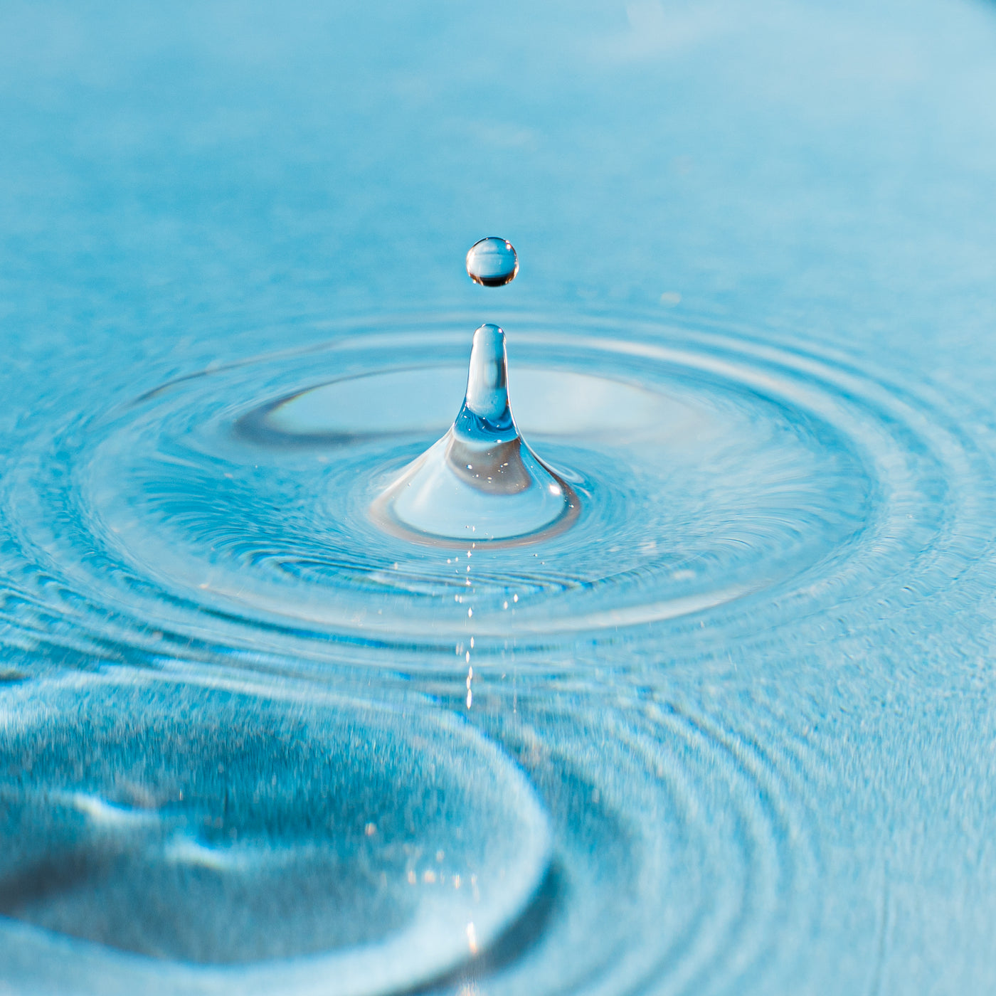 Discover the Cleanest Water