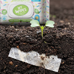 Biodegradable