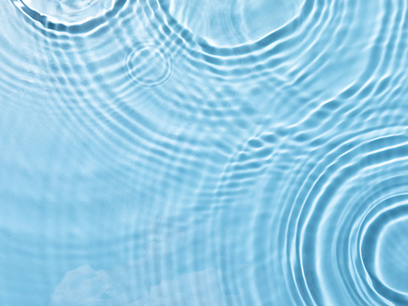 Discover the Cleanest Water
